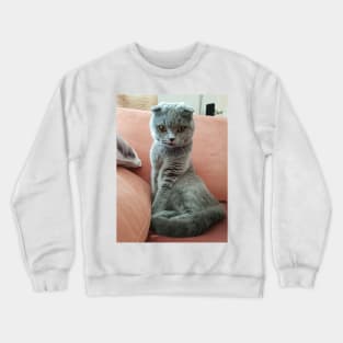 Emma The Cat Crewneck Sweatshirt